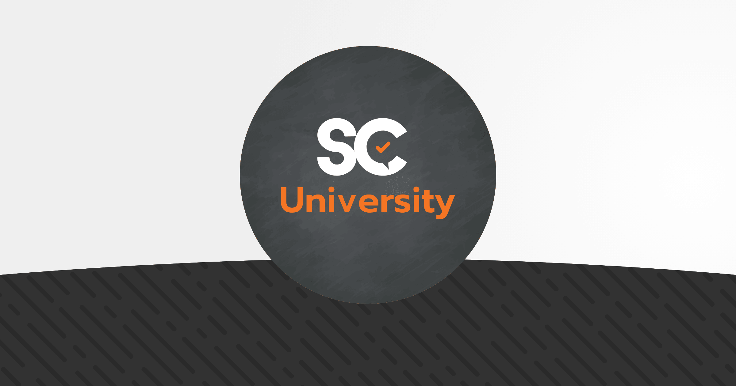 SellCheck University